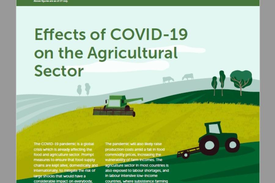 impact of covid 19 on agriculture in india research paper