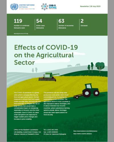 Effects of COVID-19 on the Agricultural Sector